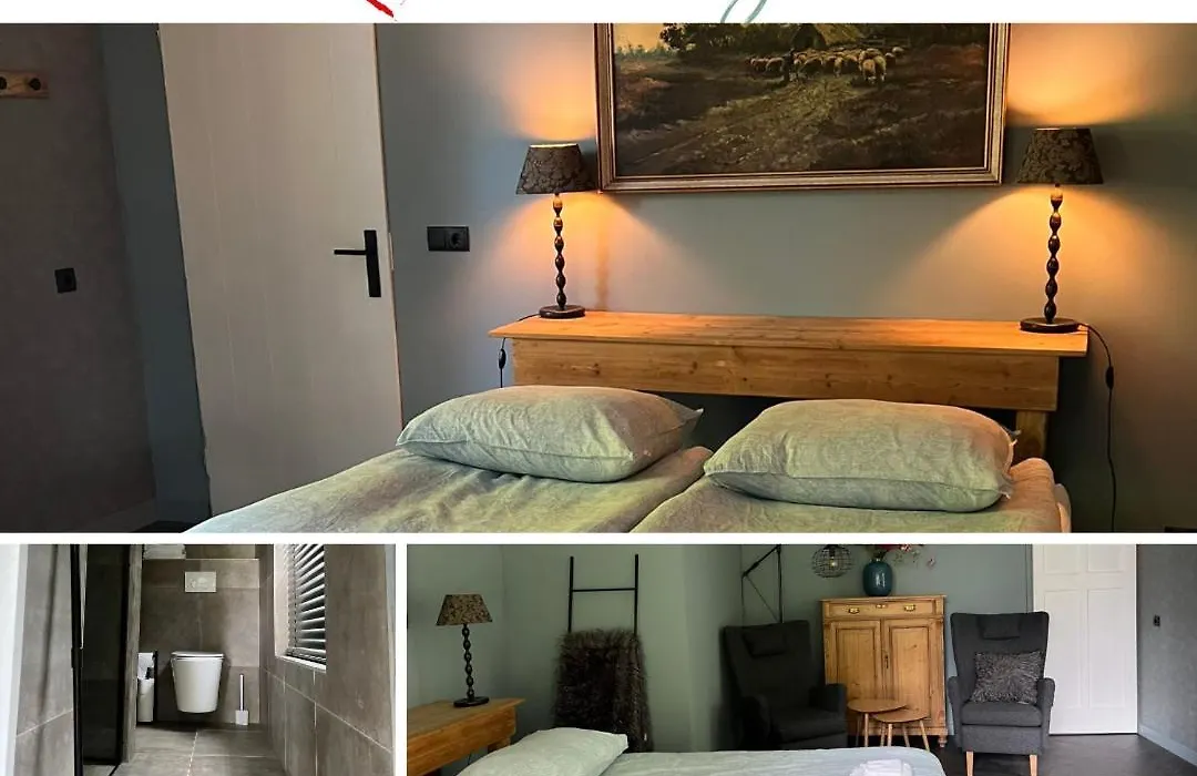 B&B Hartje Drenthe-1